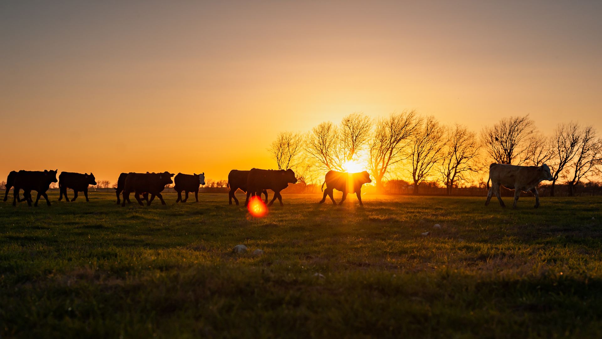 Barnard Ranch 1